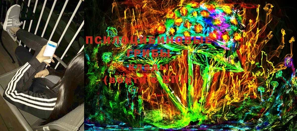 индика Саяногорск