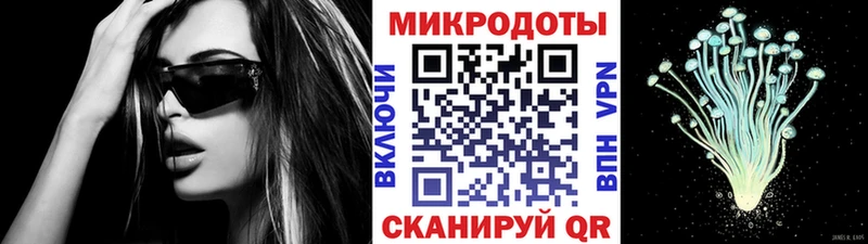 Псилоцибиновые грибы прущие грибы  Кондрово 